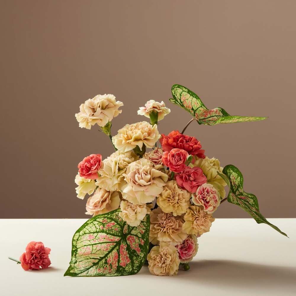 Pastel carnation arrangement with green leaves