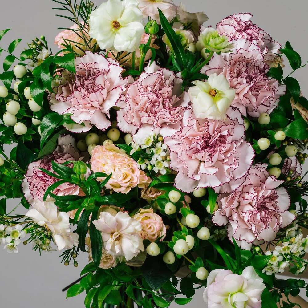 Bicolored pink carnations in floral bouquet