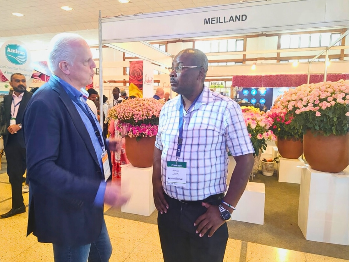 10 Questions to Dick Van Raamsdonk, the CEO of HPP Exhibitions