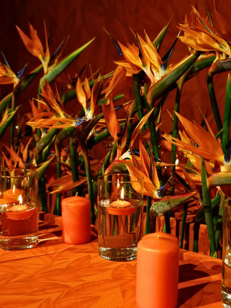 Design With Strelitzia Diana Sandoval Table Design Exhibition Istanbul