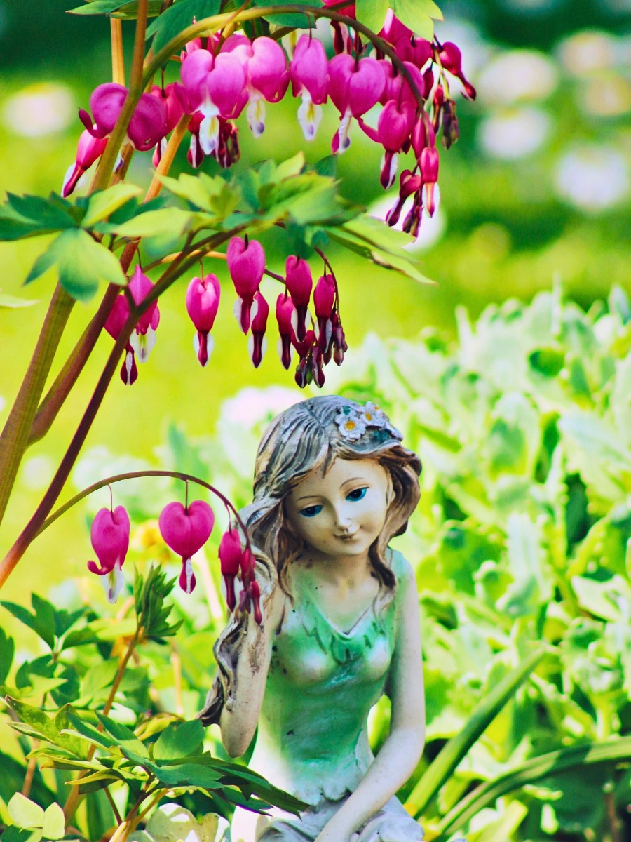 What you'd want to know about the bleeding heart meaning of flower