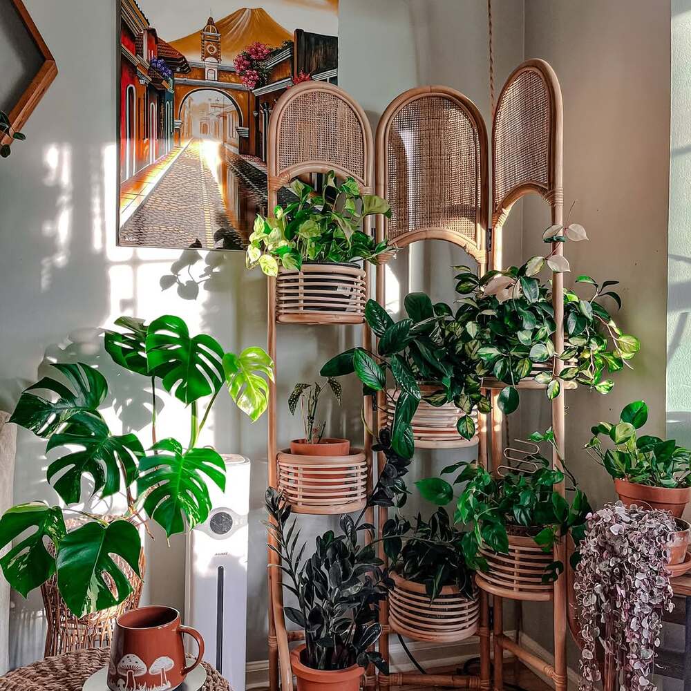 Houseplants on floor with underfloor heating