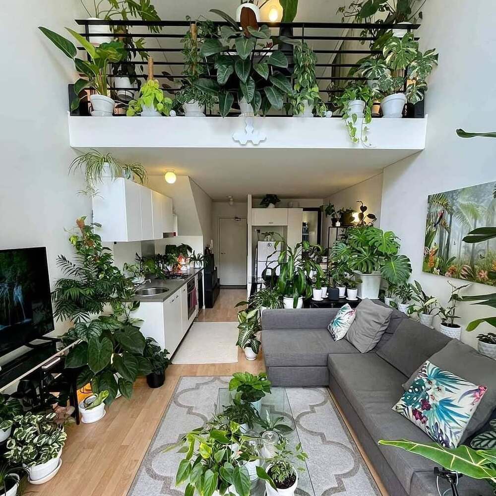Indoor plants placed on heated flooring