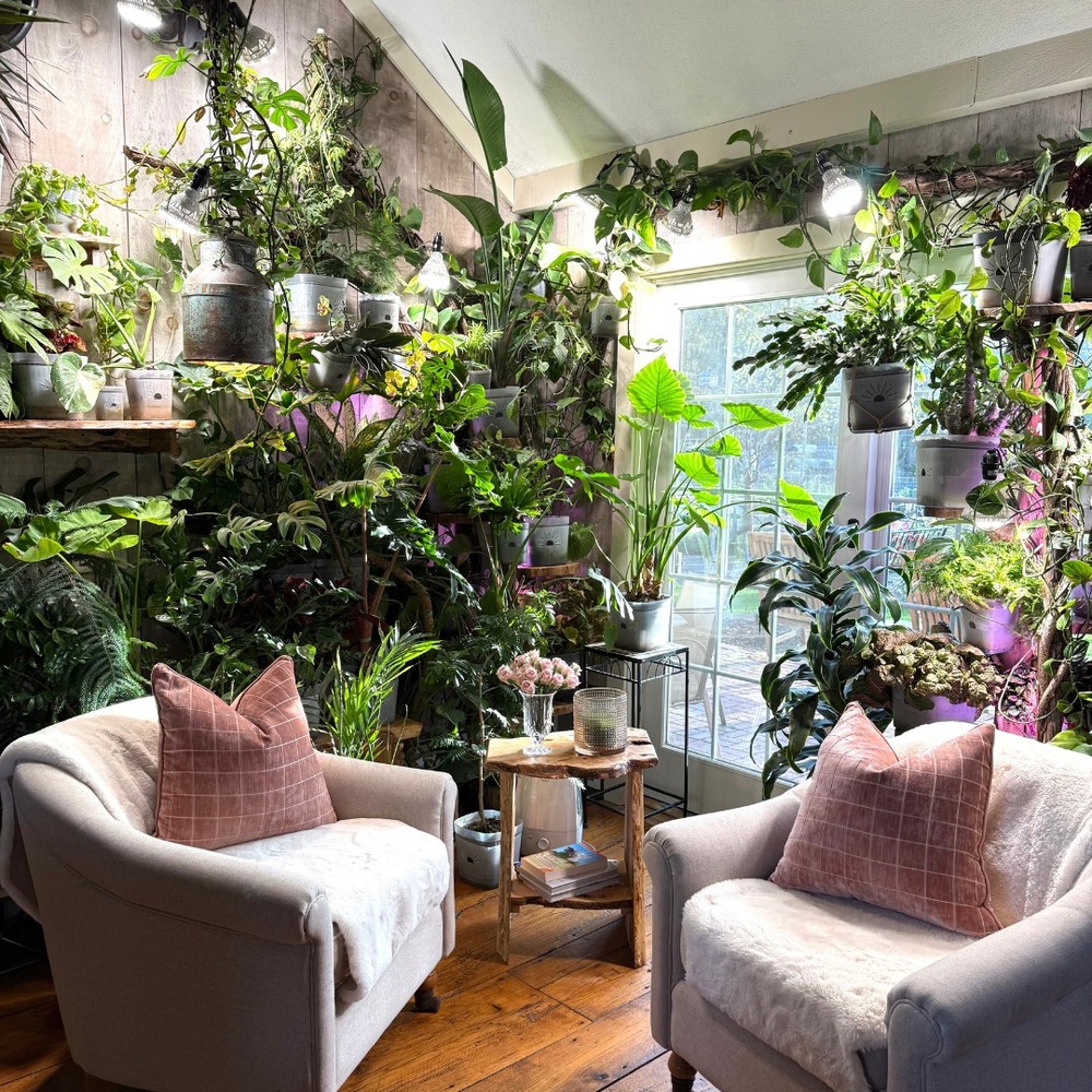 Cozy seating area with lush indoor plants