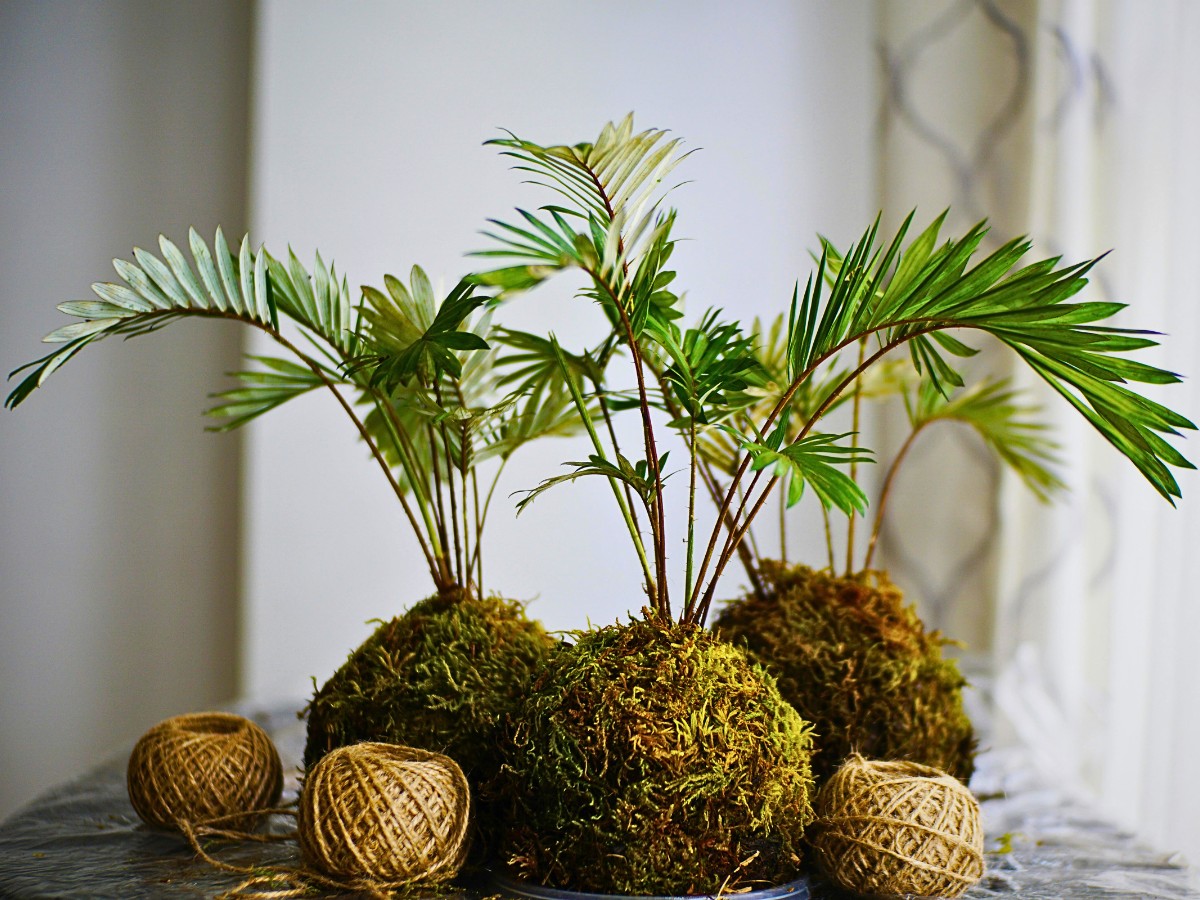 Kokedama embodies several Japanese aesthetic principles