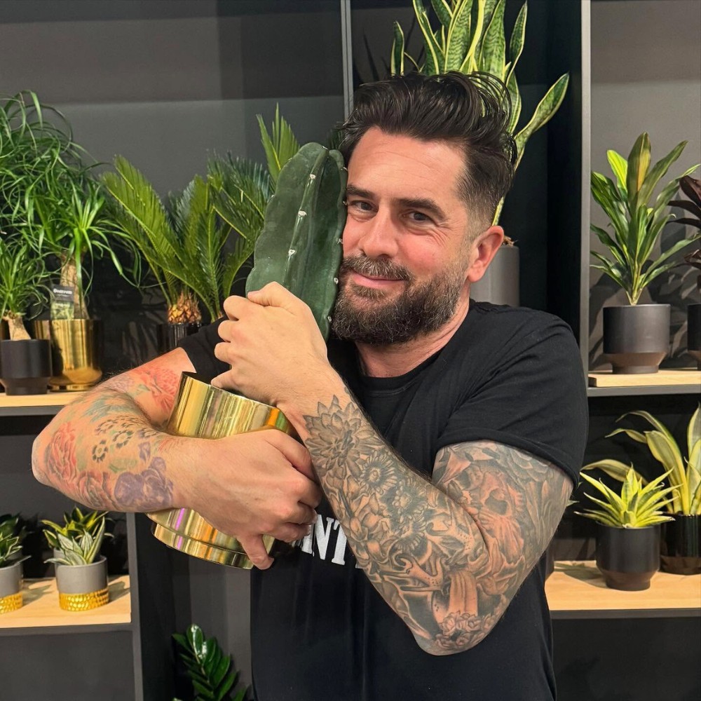 Making National Houseplant Appreciation Day a Celebration of Your Indoor Plants