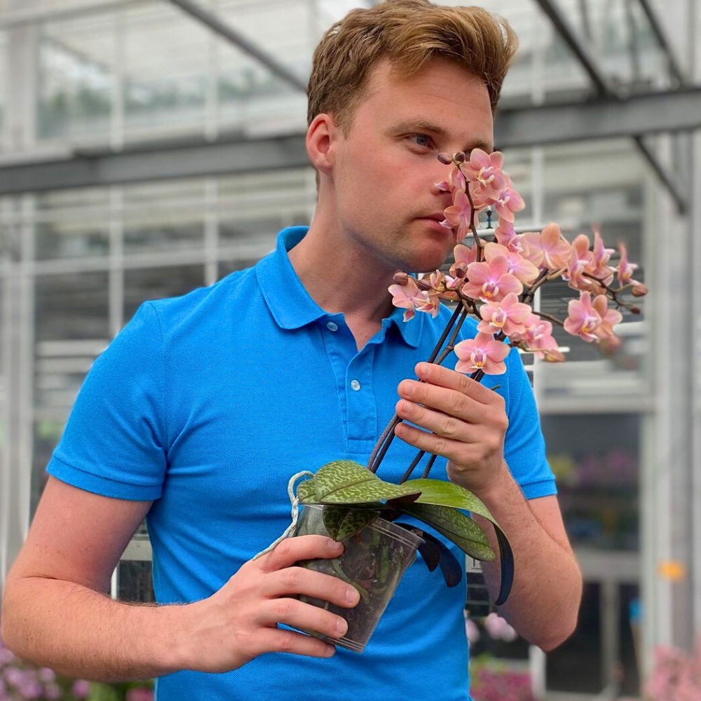 National Houseplant Appreciation Day provides one special moment to focus on these leafy friends