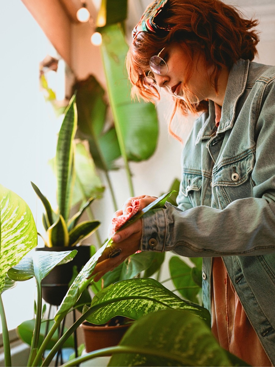 National Houseplant Appreciation Day prods us to pause and celebrate these green companions