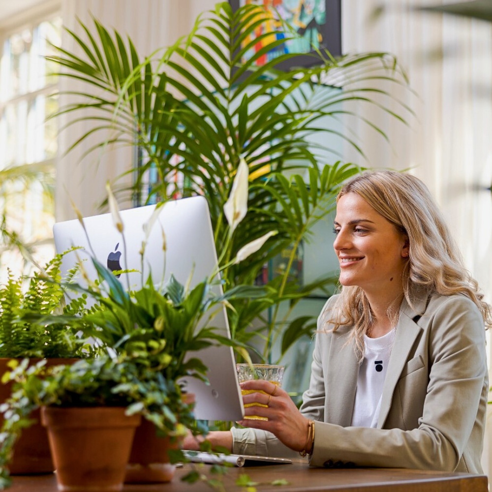 National Houseplant Appreciation Day appreciates the many benefits of houseplants