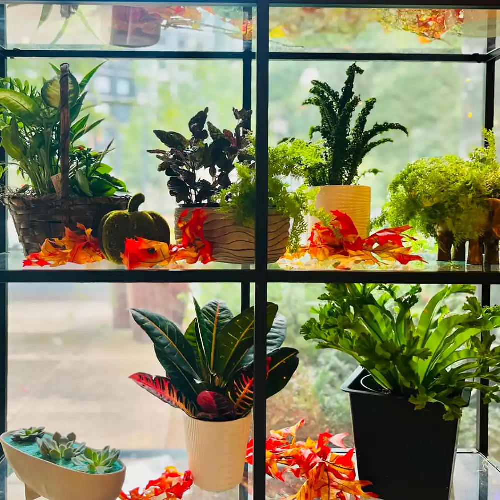 Peachtree Petals florist on Thursd feature