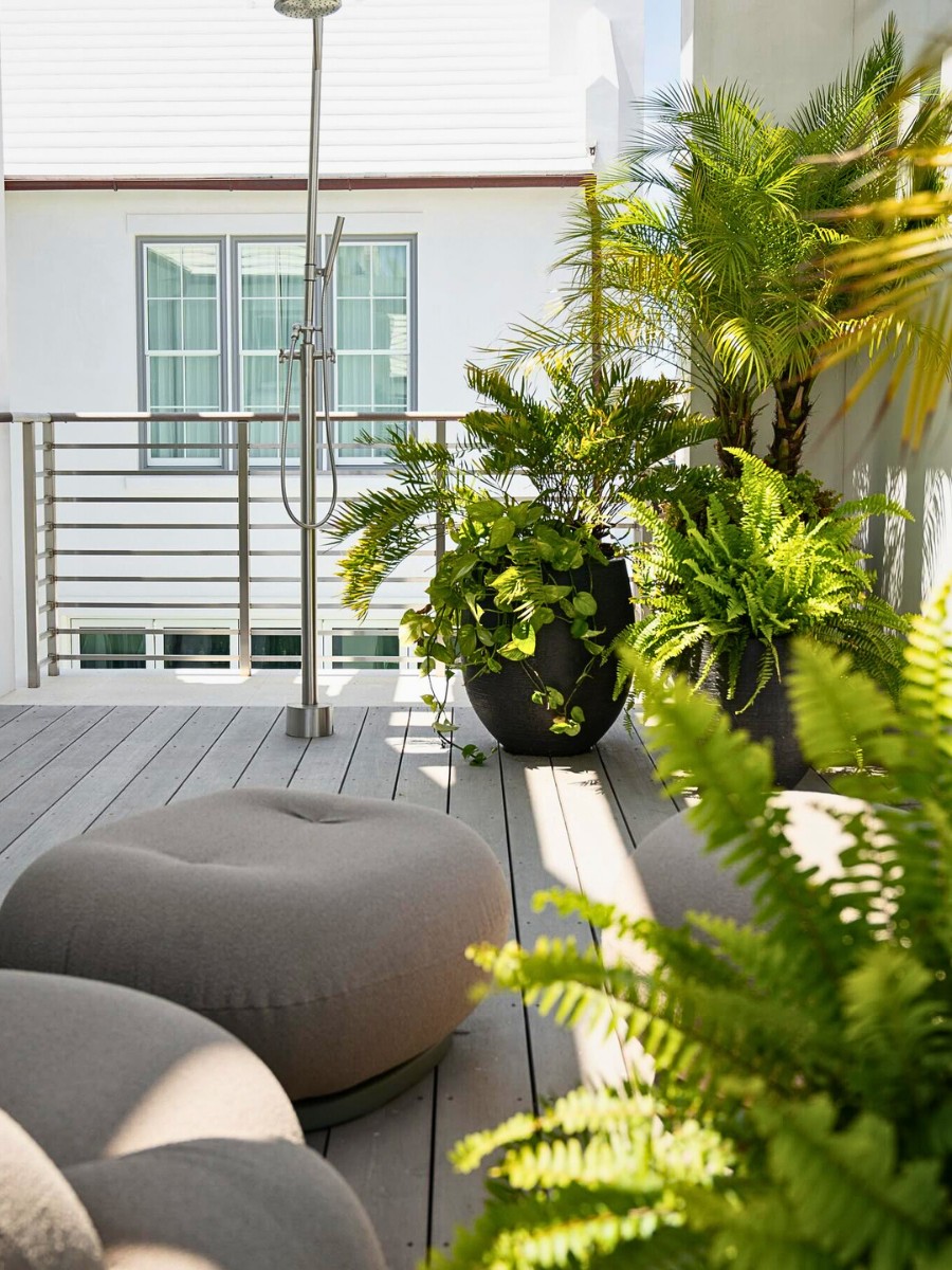 Micro-Rainforests on the Balcony Provide a Biophilic Design for Small Apartments and Big Well-Being.