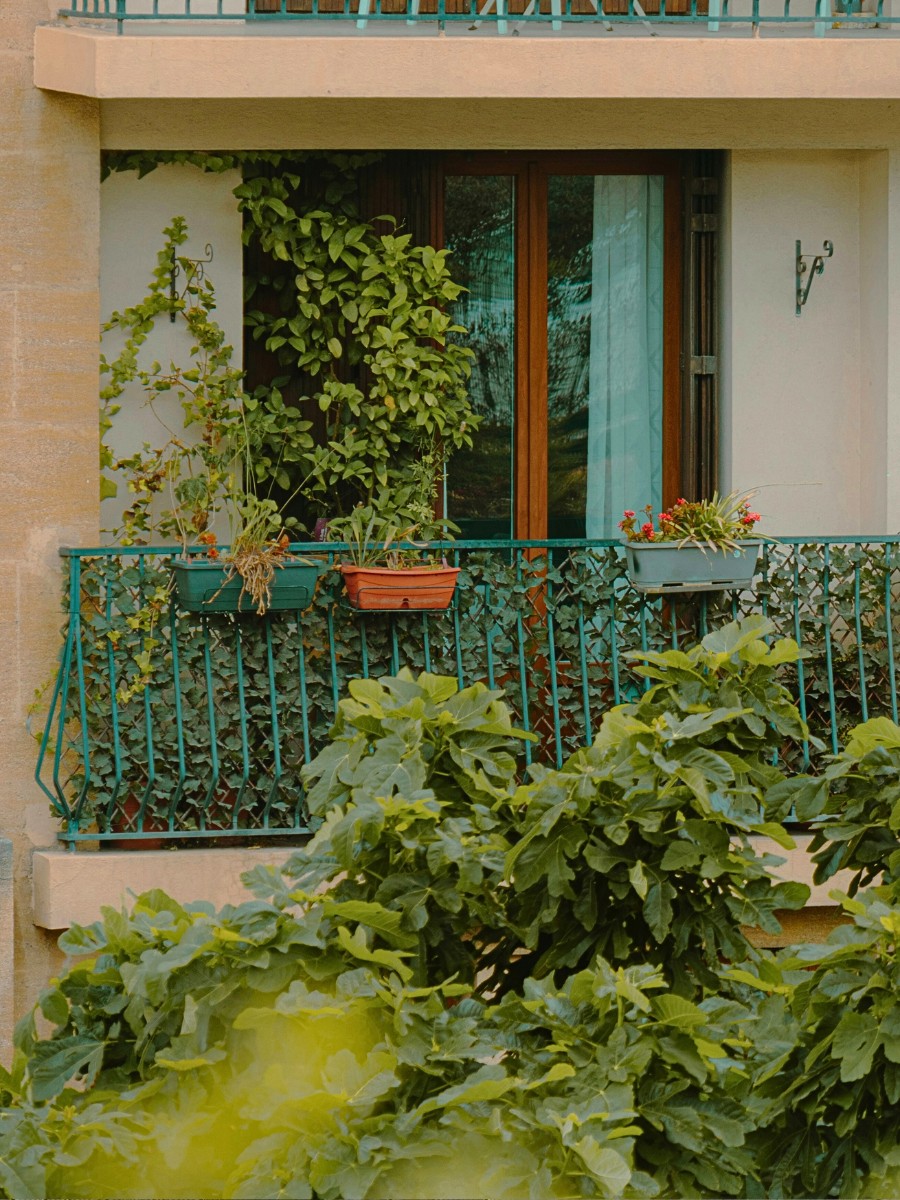 Micro-Rainforests on the Balcony Provide a Biophilic Design for Small Apartments and Big Well-Being.