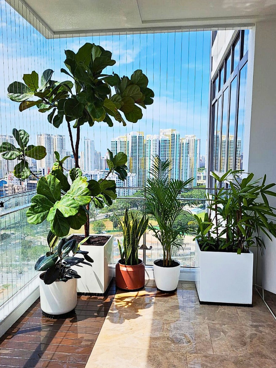 Micro-Rainforests on the Balcony Provide a Biophilic Design for Small Apartments and Big Well-Being.