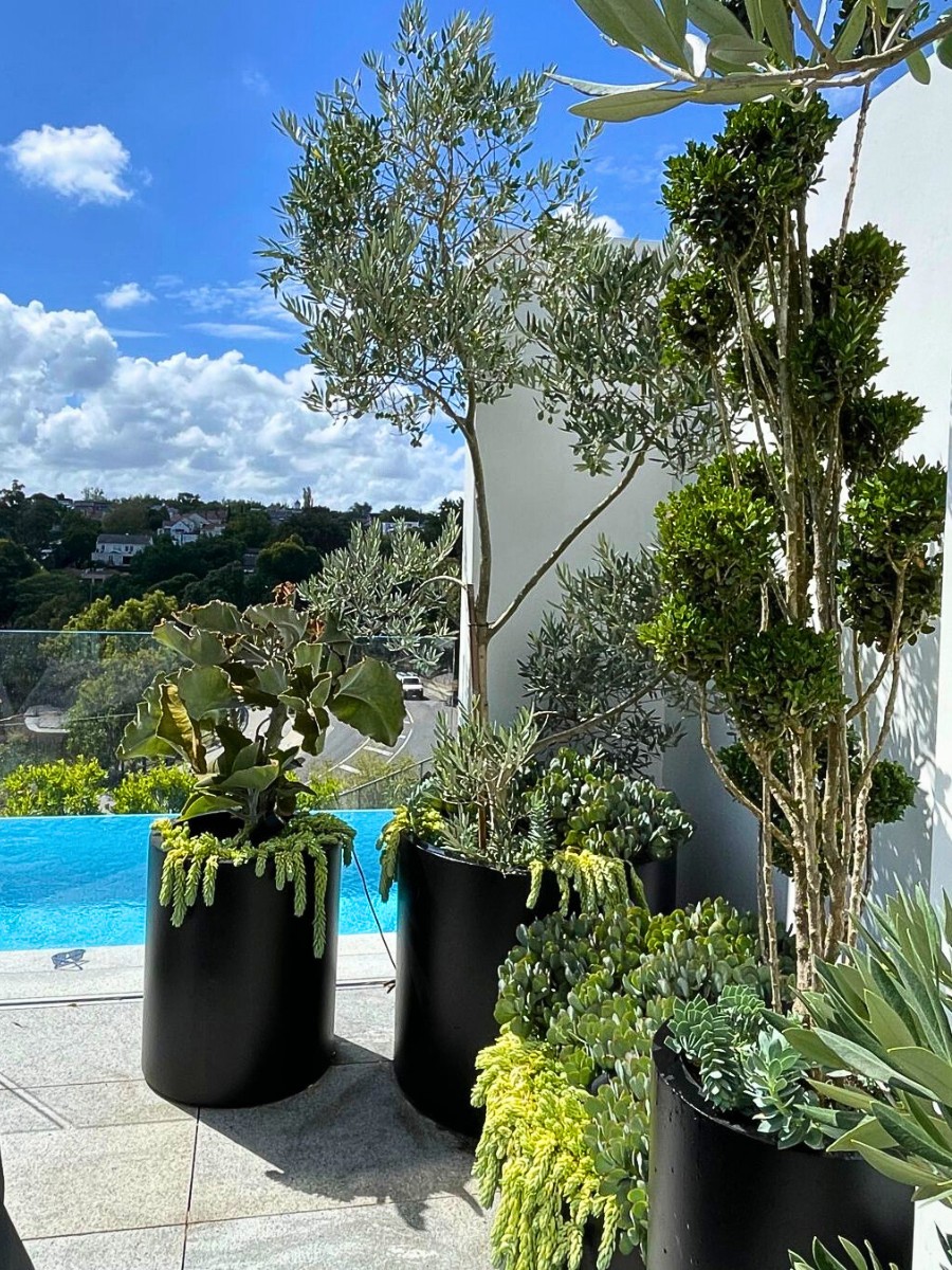 Micro Forests on the Balcony Provide a Biophilic Design for Small Apartments and Big Well-Being.