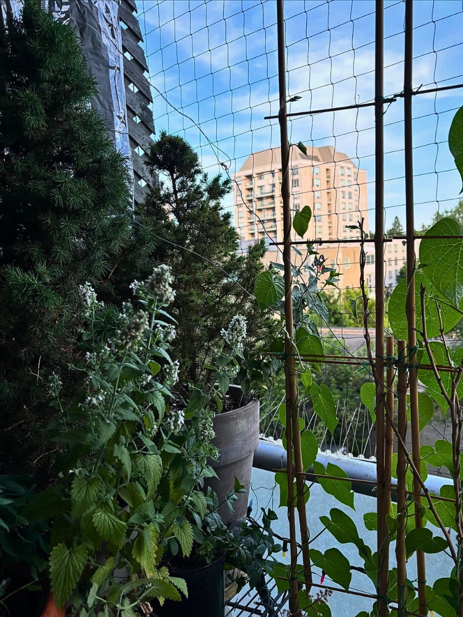 Micro Forests on the Balcony Provide a Biophilic Design for Small Apartments and Big Well-Being.