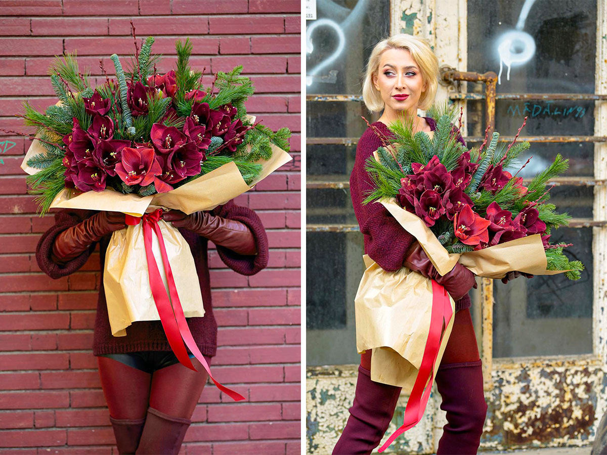 Laura Draghici model with Amaryllis Crimson Nocturne