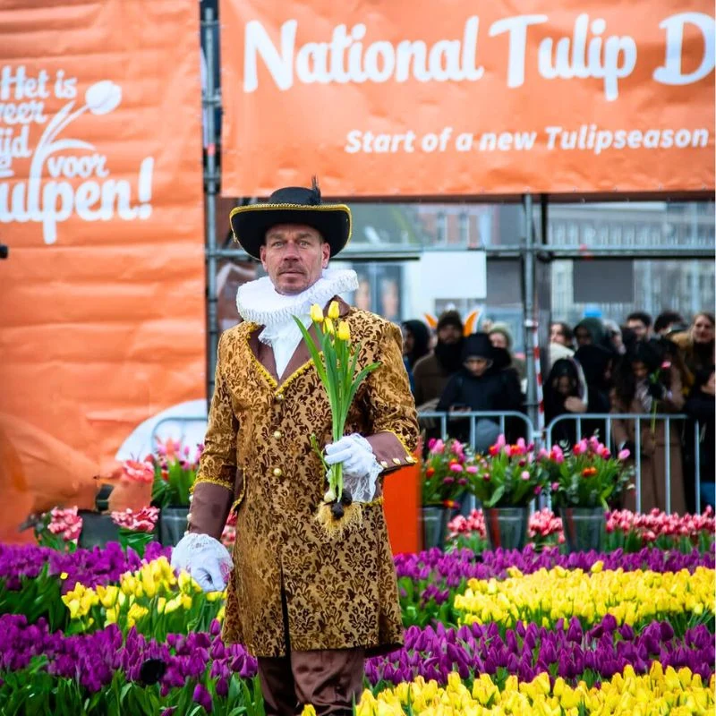 National Tulip Day 2026
