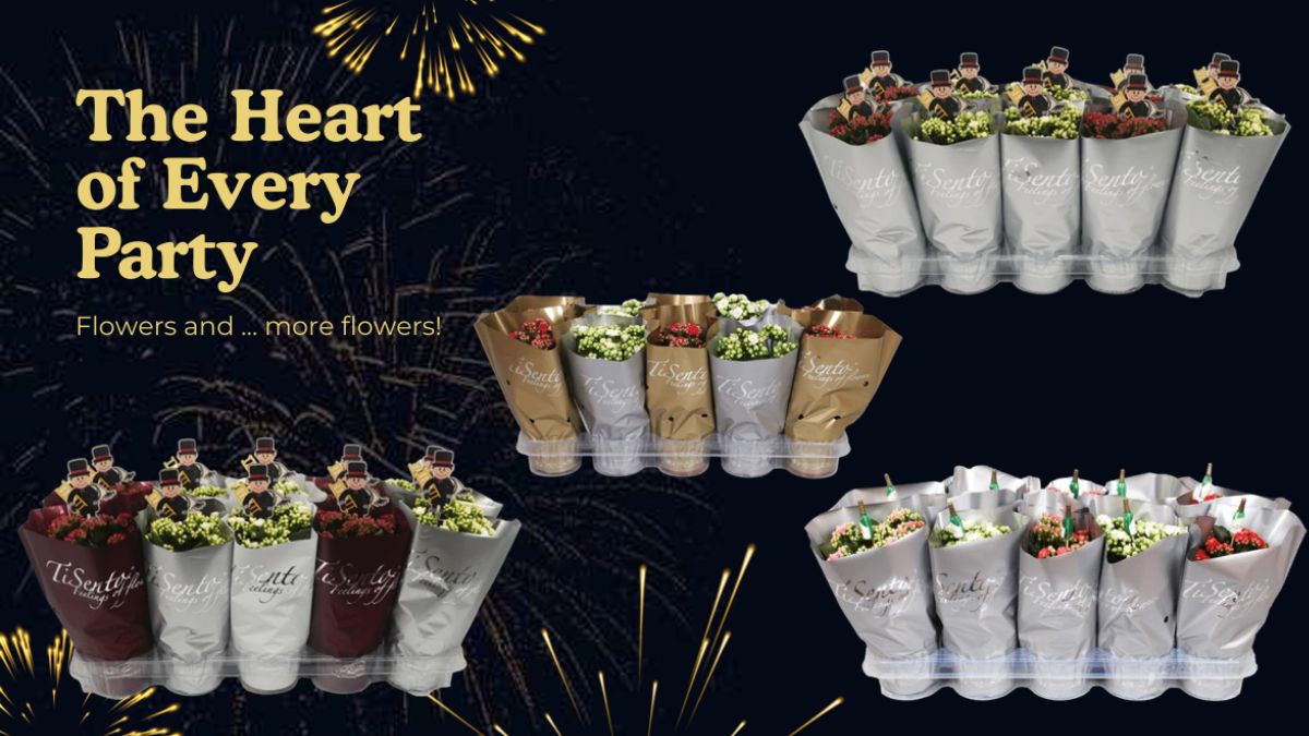 TiSento are available on the clock of Royal FloraHolland.