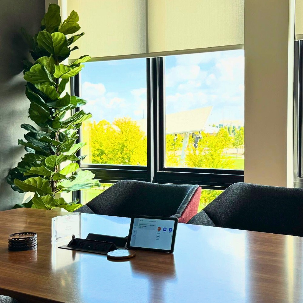 Bringing Life to Your Workspace With Corporate Plants