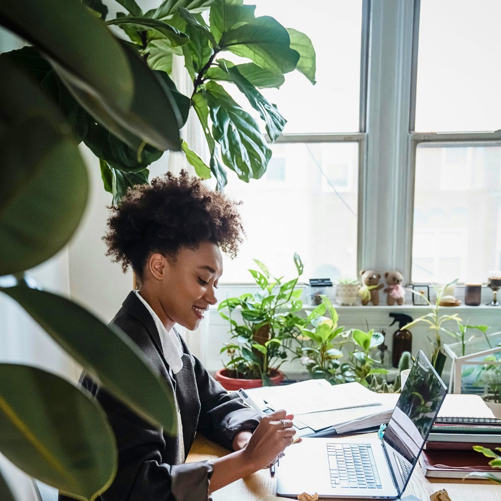 Bringing Life to Your Workspace With Corporate Plants