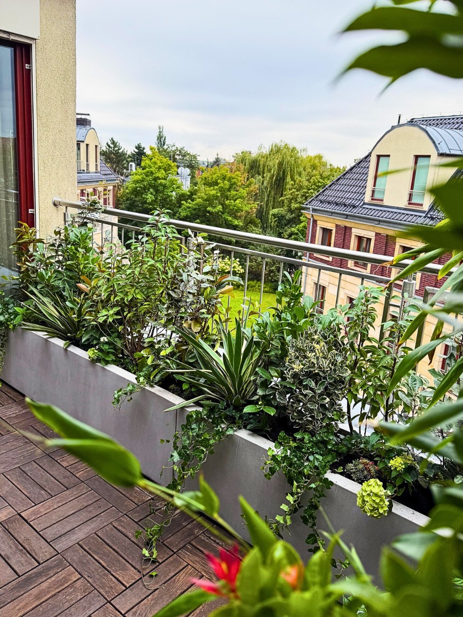 Micro-forests on the Balcony Provide a Biophilic Design for Small Apartments and Big Well-Being.