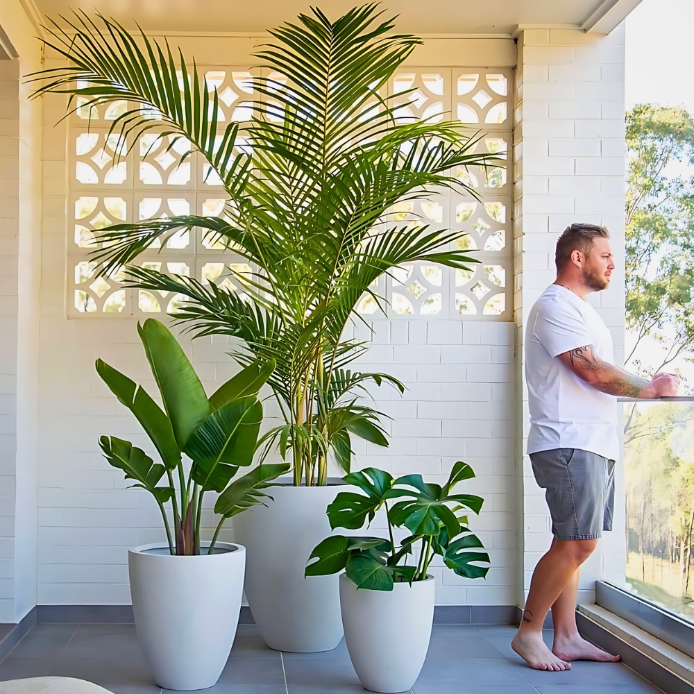 Micro-forests on the Balcony Provide a Biophilic Design for Small Apartments and Big Well-Being.