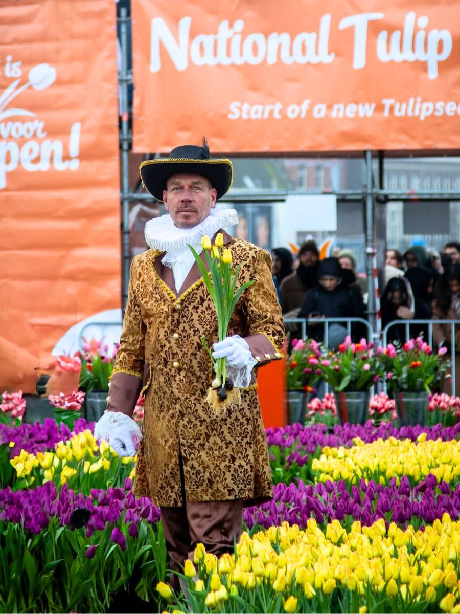 National Tulip Day celebration