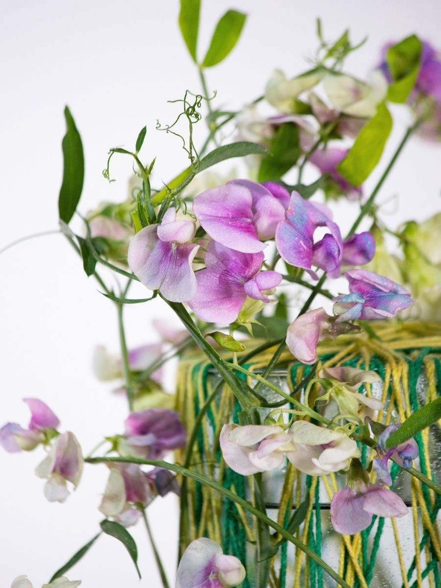 Conscious Calm - Challenge EMC Trend Report and Designing Emotion by Tomas de Bruyne