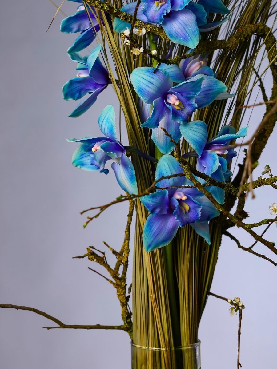 Bio-Rythmic Embrace Trend Delicate Tinted Orchids for EMC European Master Certification Trend Report