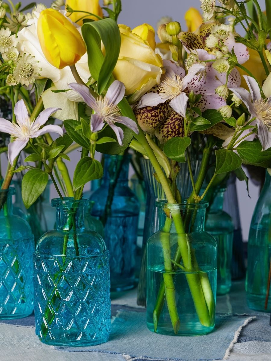 EMC Trend Report Bio-Rythmic Embrace