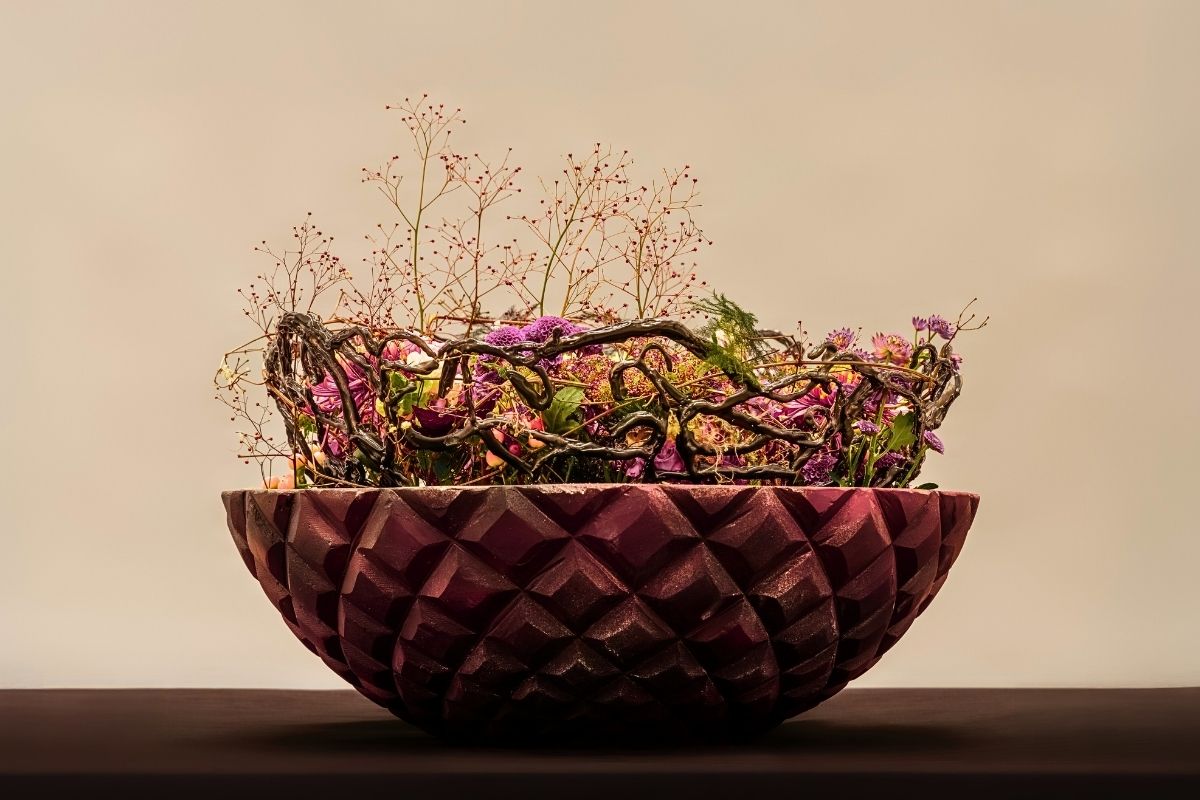 Obscure Grace - Transcend Trend by EMC 