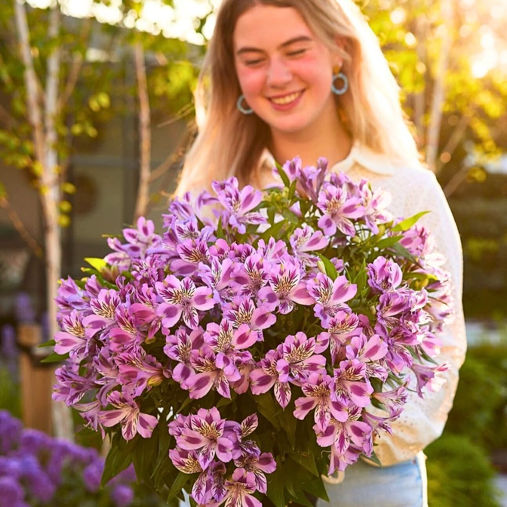A lady holding a bunch of Alstroemeria Colorita from the breeder Royal van Zanten