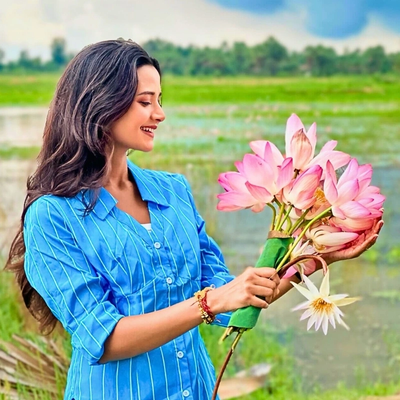 Lotus flower meaning