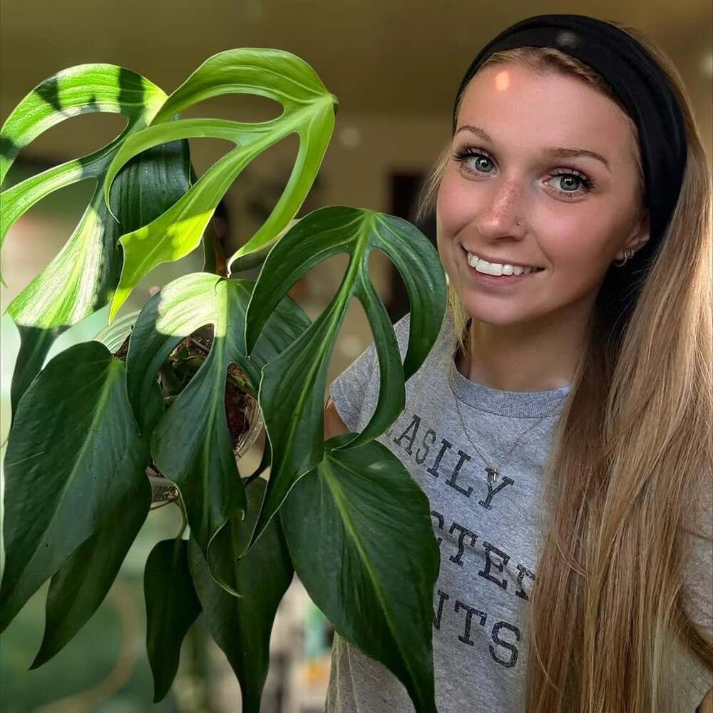 A plant influencer holding a Monstera