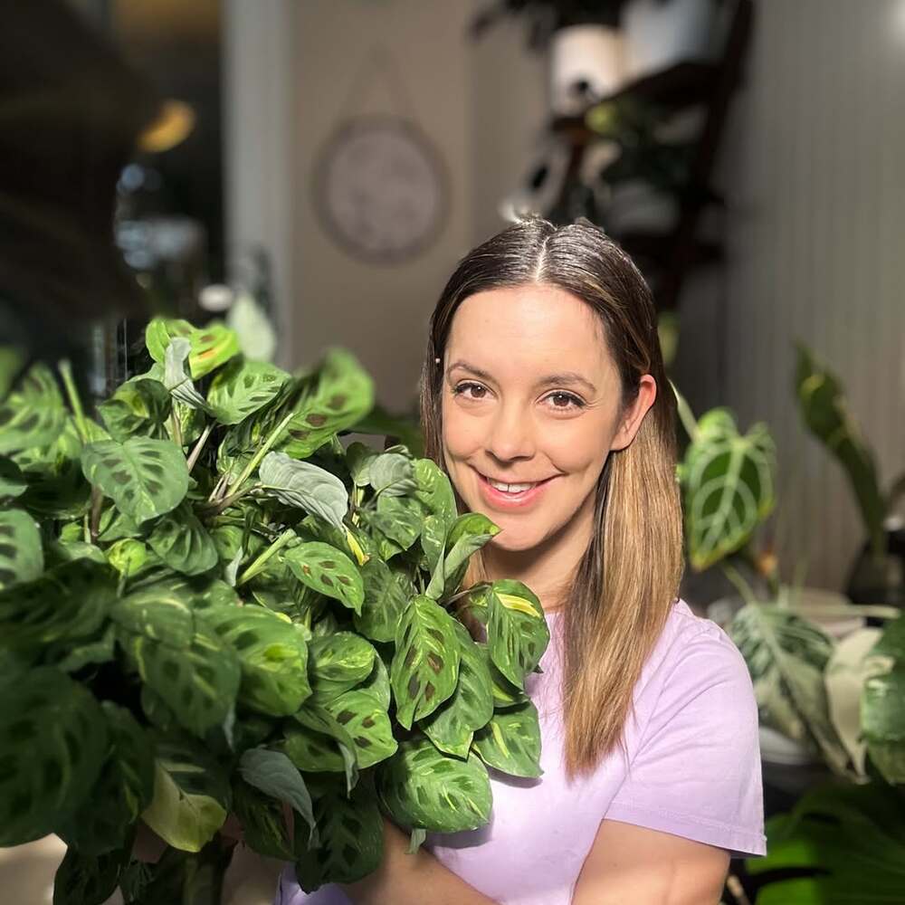 Woman holding large lush houseplant