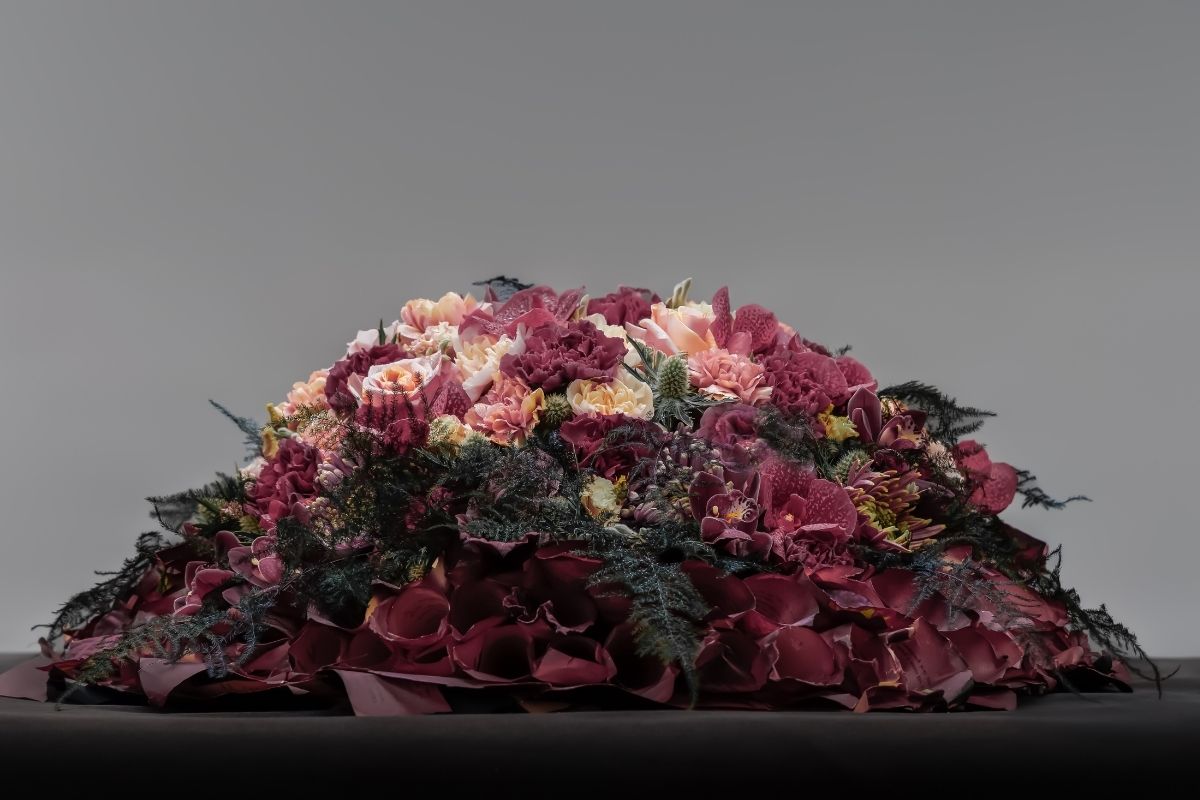 EMC Trend Obscure Grace Transcend by Tomas de Bruyne