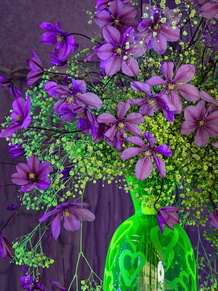 Vase Life Science as a Sustainability Tool in Floriculture