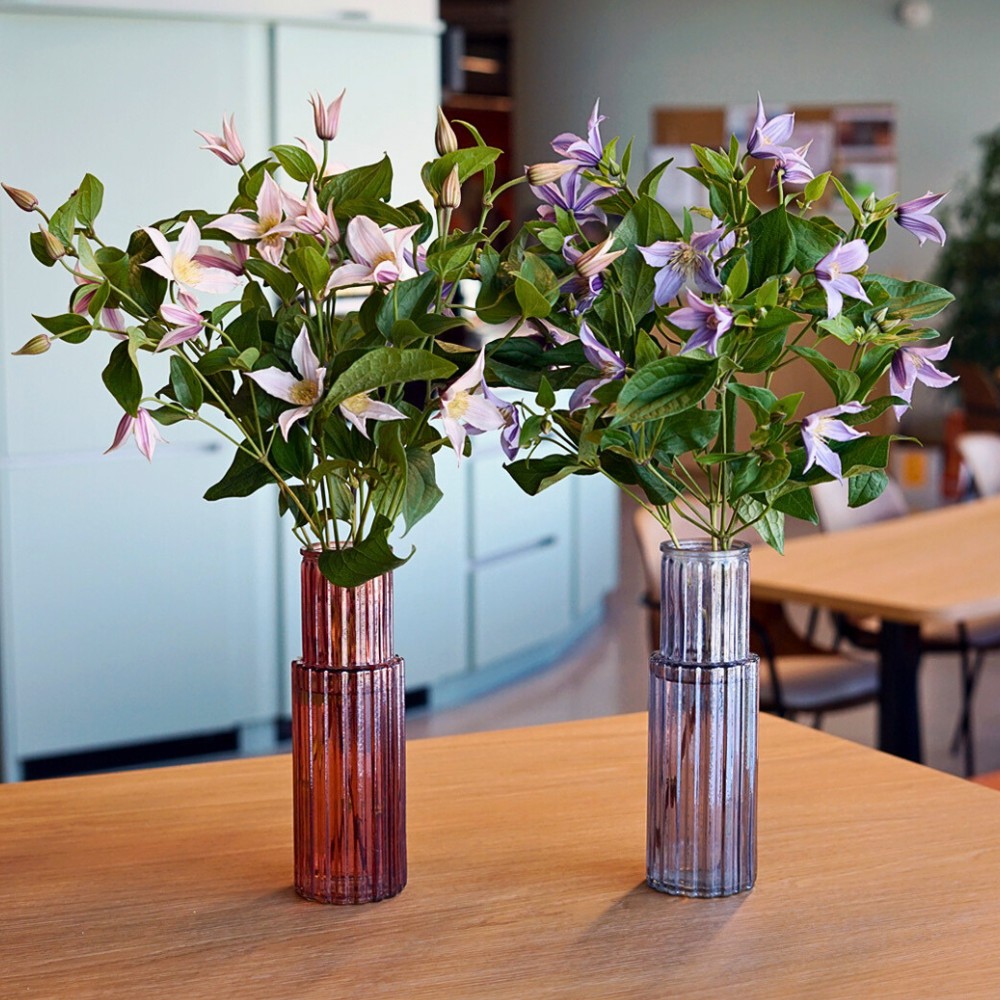 Vase Life Science as a Sustainability Tool in Floriculture