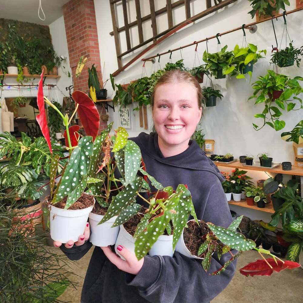 Woman holding several spotted houseplants