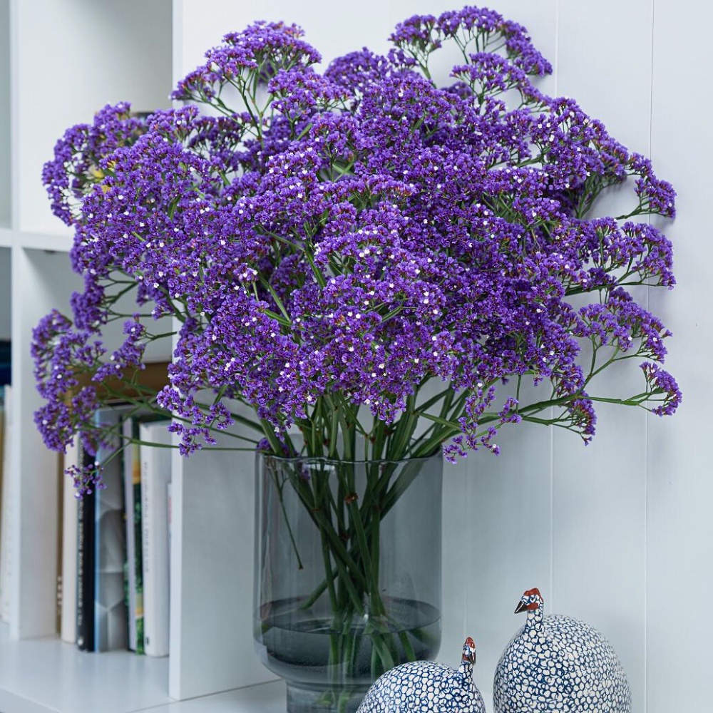 Vase Life Science as a Sustainability Tool in Floriculture