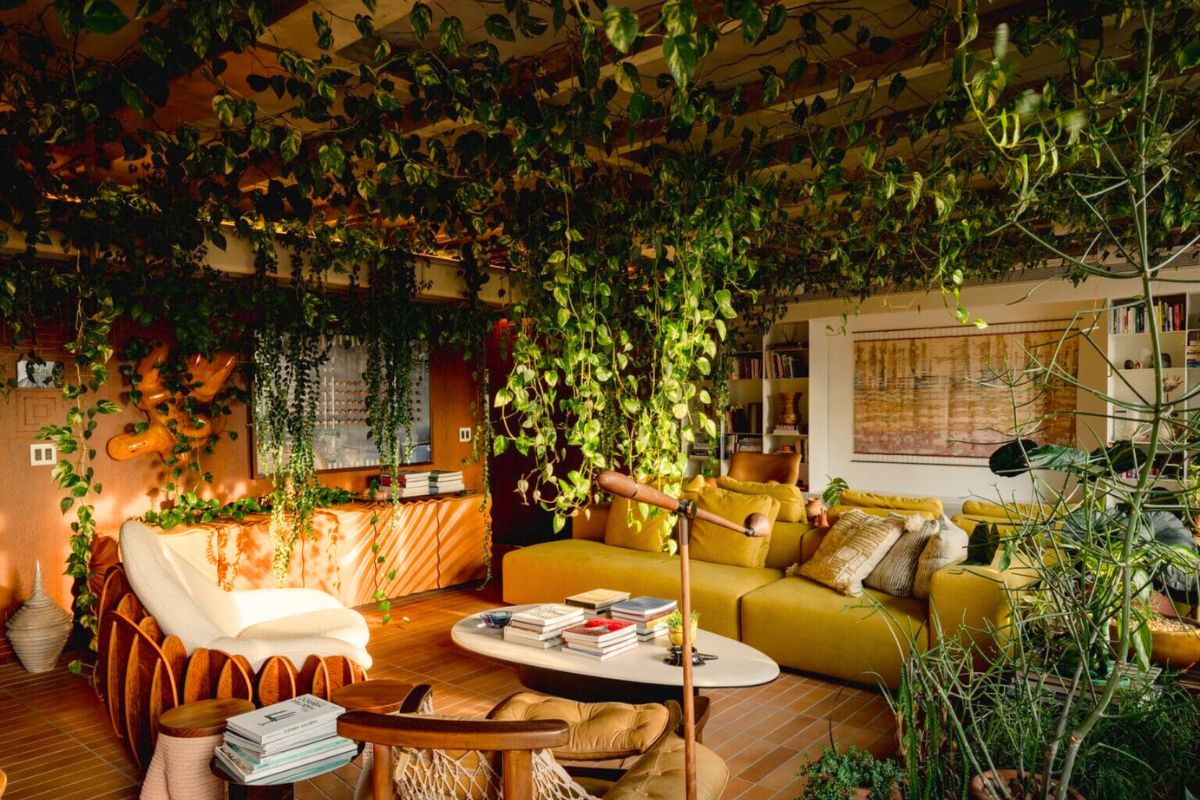 A living room adapted with plants and color