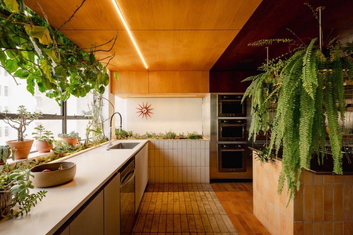 Kitchen details with plants all around
