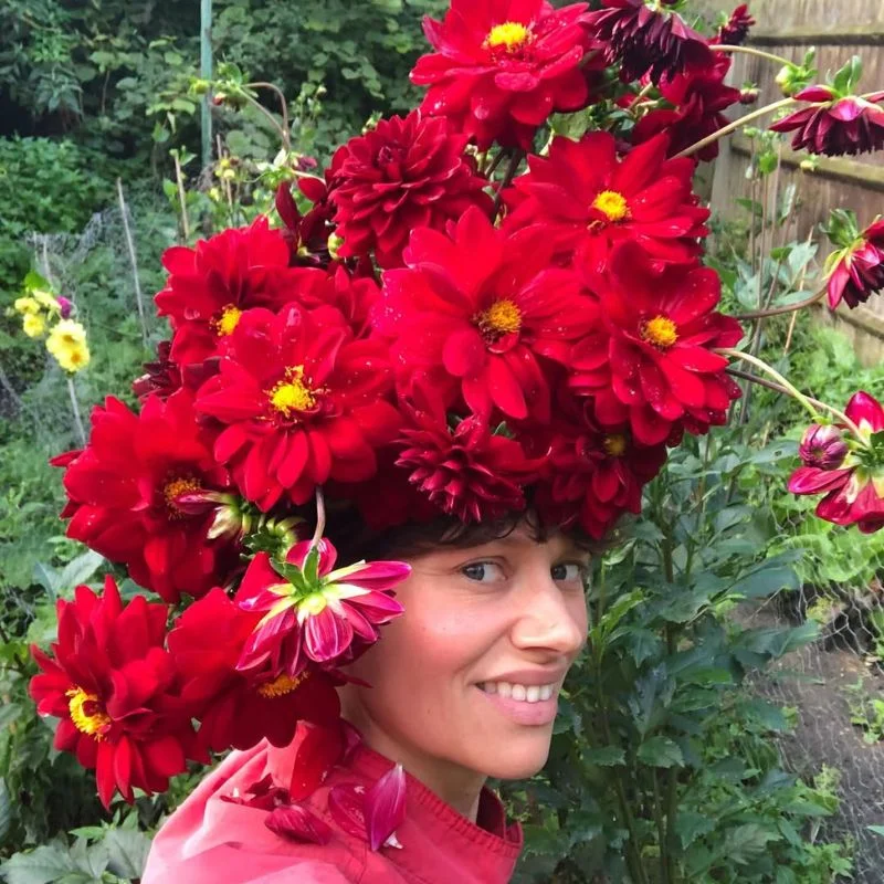 Benefits of Flowers and Plants Feature Image