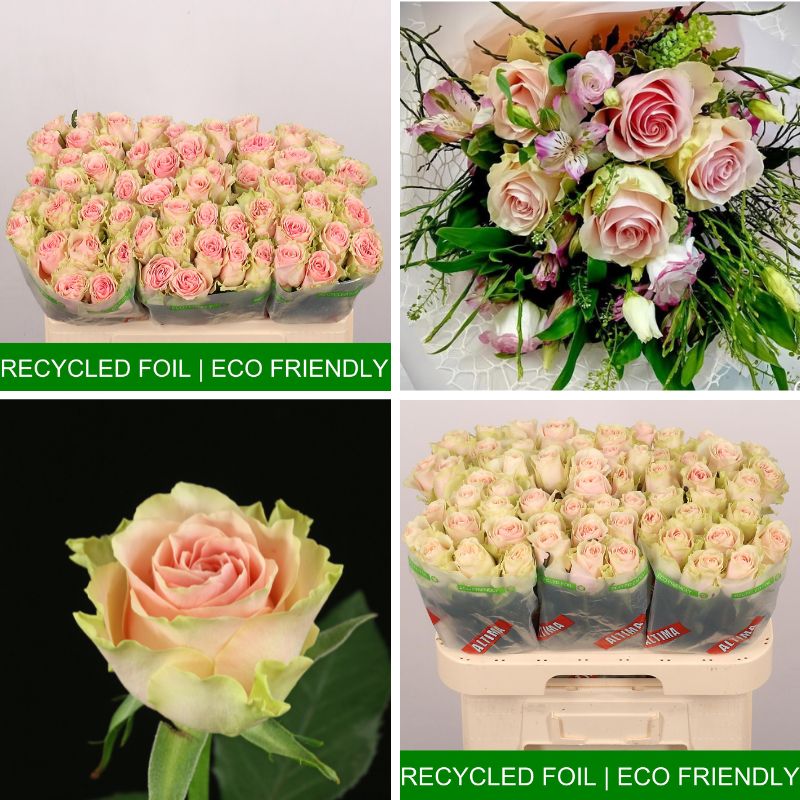 Rose Frutteto on the Clock