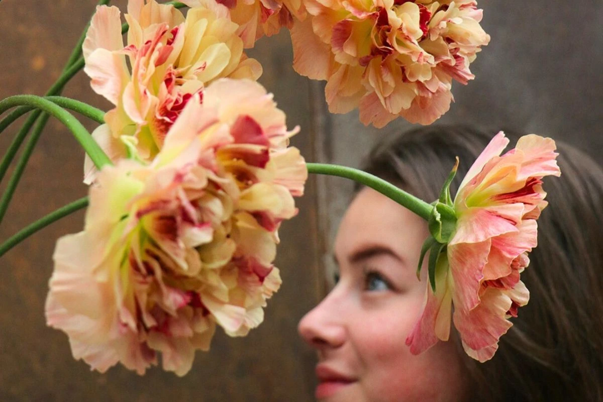 Charlotte ranunculus