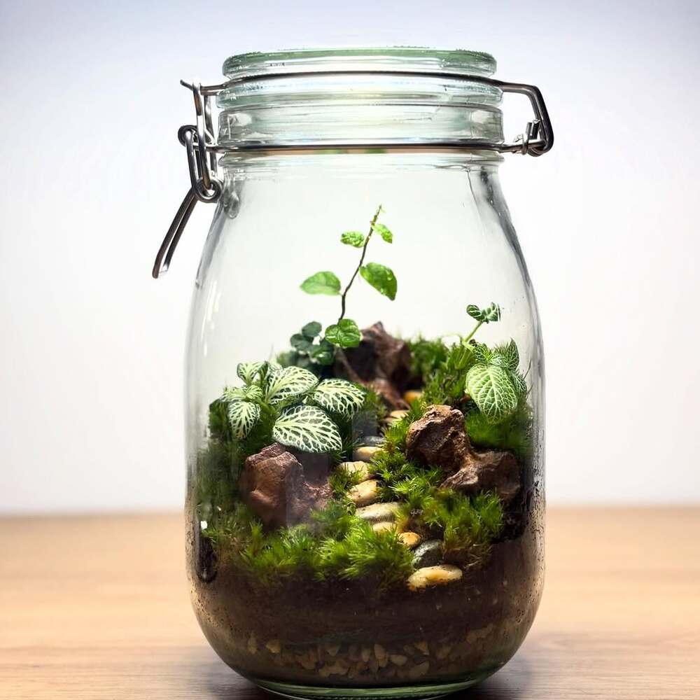 Lush micro-landscape in glass jar