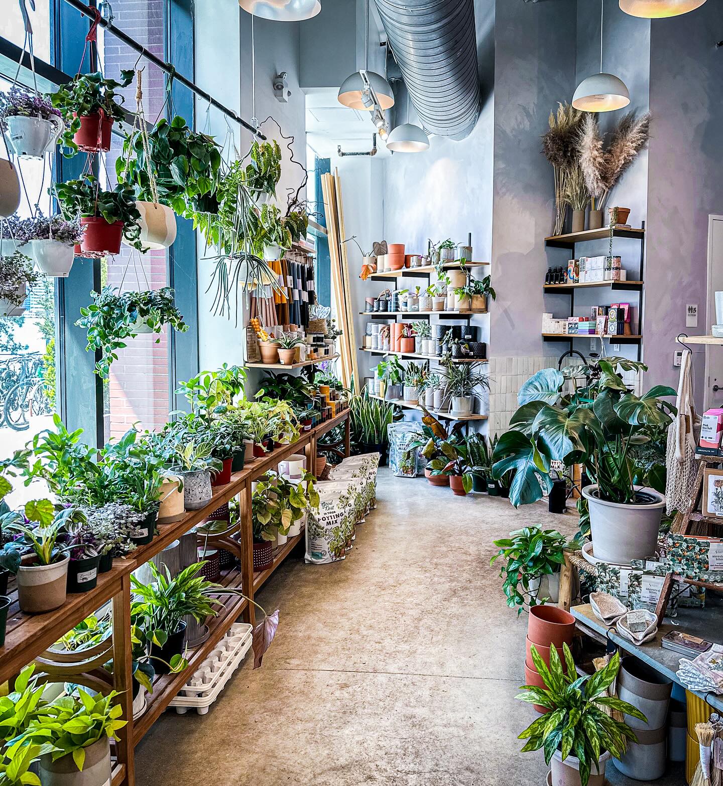 Stonefruit botanical Shop at NYC