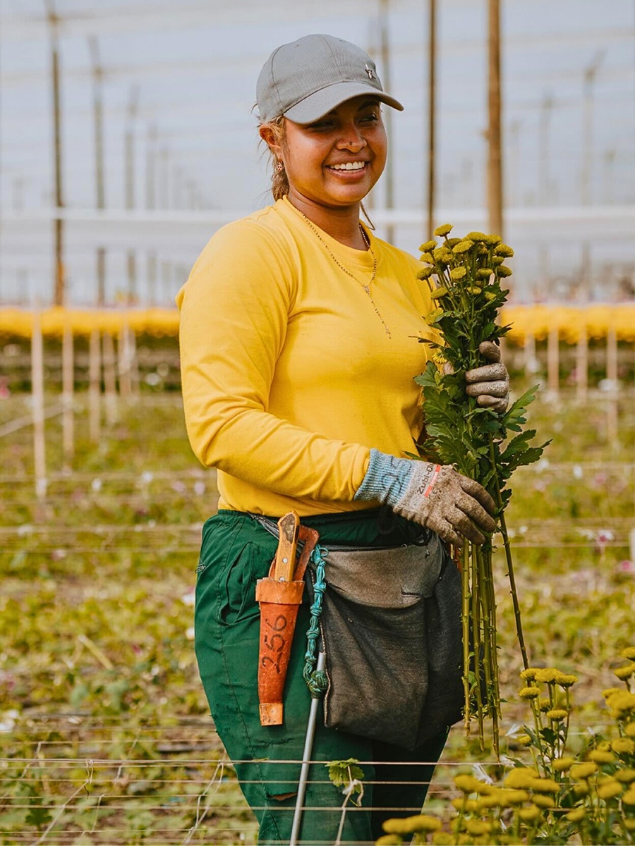 Colombia&rsquo;s 23.7% Minimum Wage Increase and What It Means for Global Floriculture