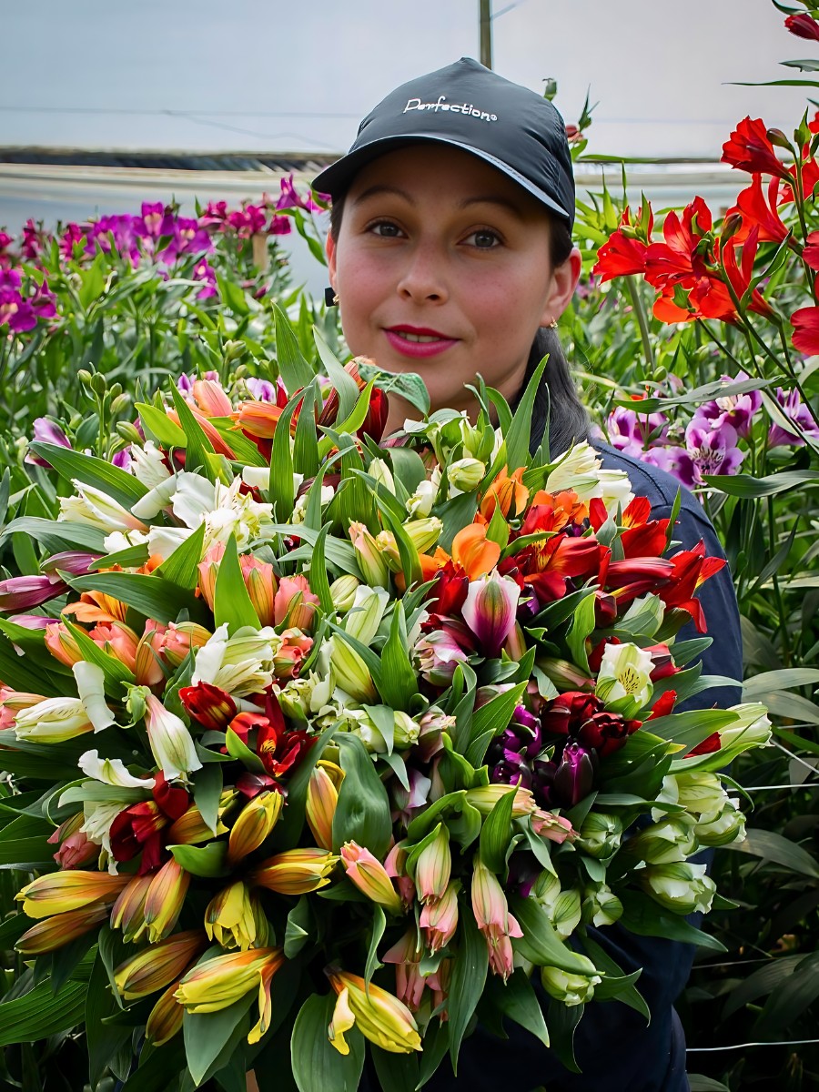 Colombia&rsquo;s 23.7% Minimum Wage Increase and What It Means for Global Floriculture