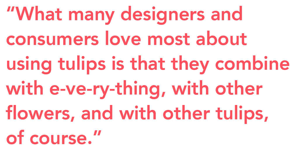 Chrysal tulips care tips quote